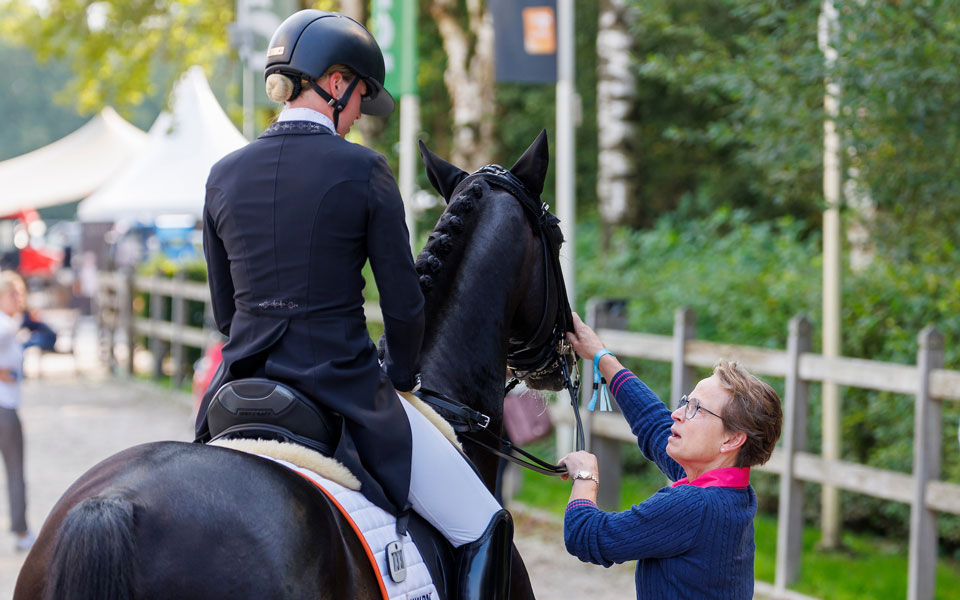 Hannoveraner Isabell Werth Lafrentz