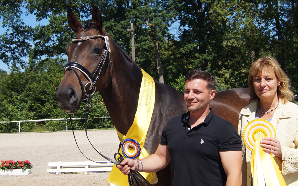 Siegerstute Springen Hann.Pr.St. Conthalita v. Conthargos/Diacontinus