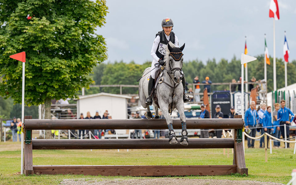 Hannoveraner DJ Continus 2026 FEI Lundin