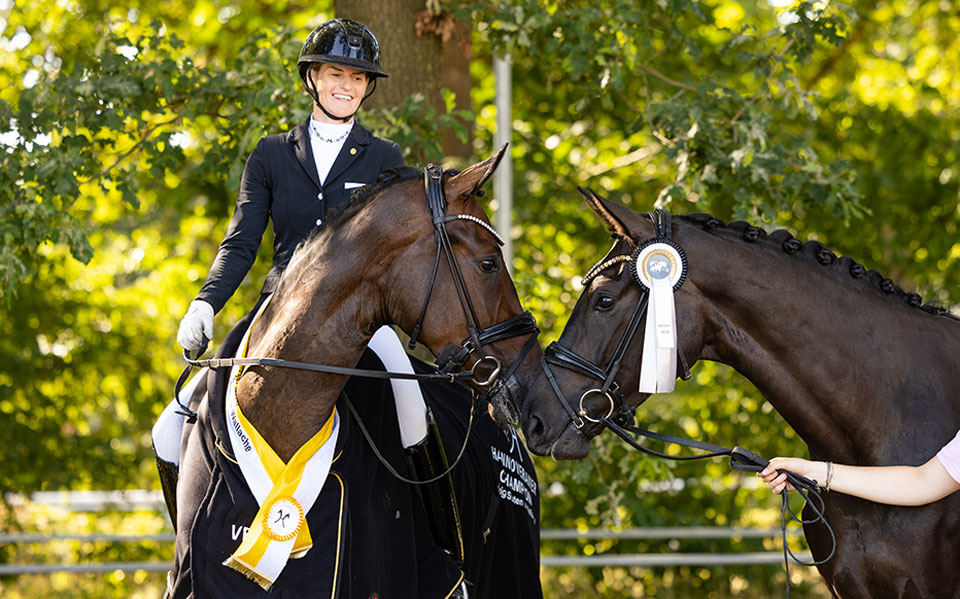 Hannoveraner Iva Bella R und Floria HE 2026 Fellner
