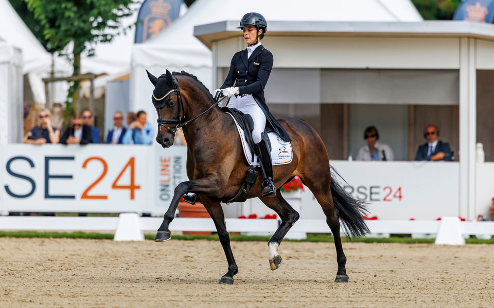 Hannoveraner La Jolie 2026 Lafrentz