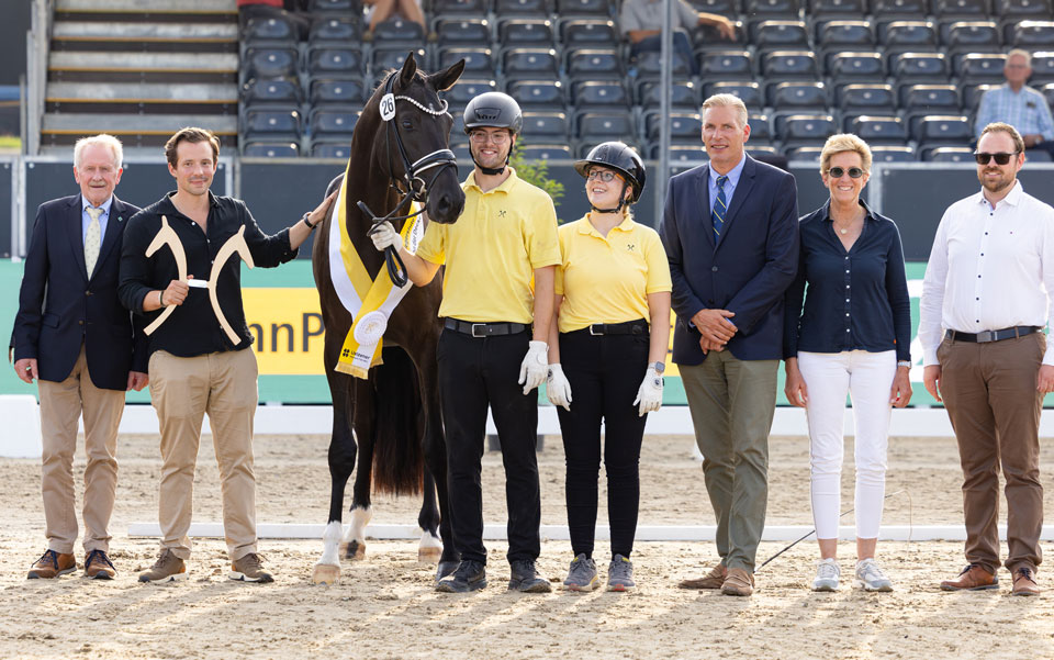 Hannoveraner Siegerstute Dressur Beautiful Vibe 2026