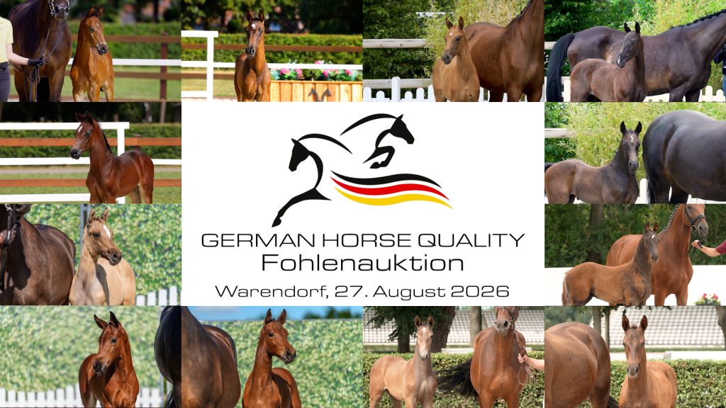 Trailer quer.00 00 44 14.Standbild001