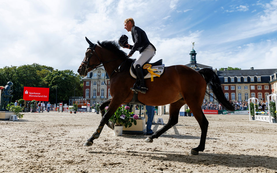 Hannoveraner Baloubets Rose Dree Boeken Muenster 2026 Lafrentz