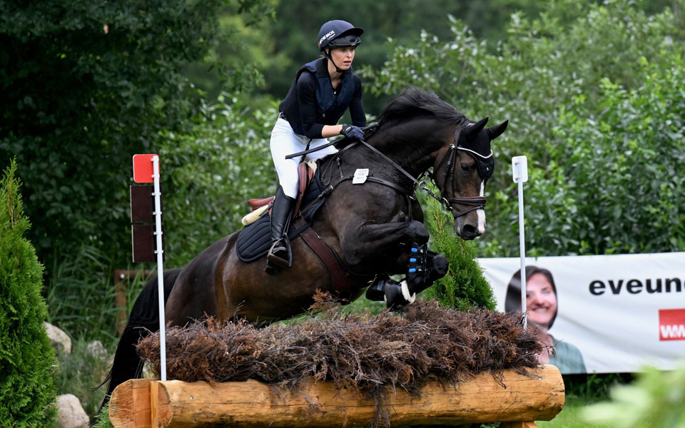 Hannoveraner Coco Letta Adrian