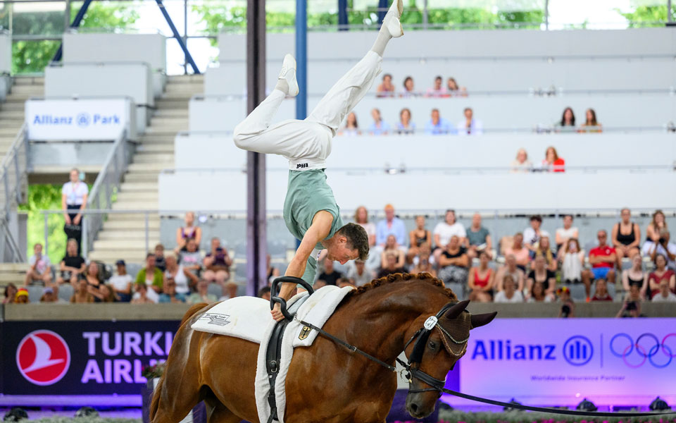 Hannoveraner Rey Rubino 2026 Lafrentz