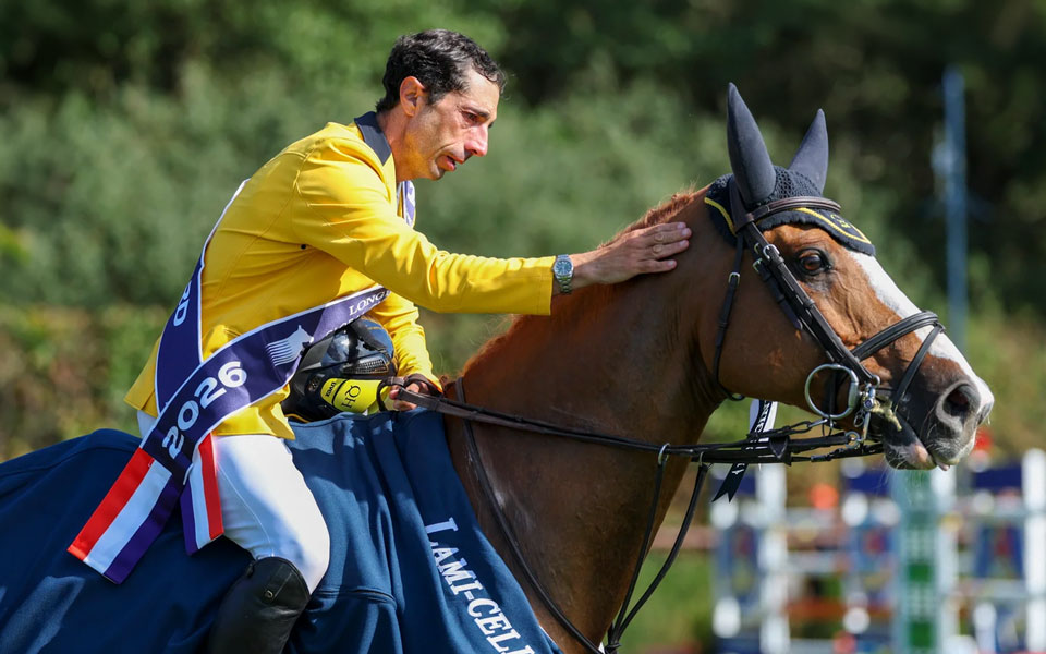 Hannoveraner Vitiki GCT 2026 Grasso