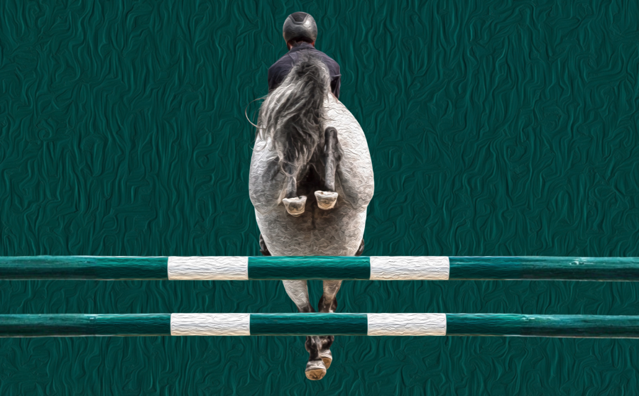 Banner horse24 VA November 2026