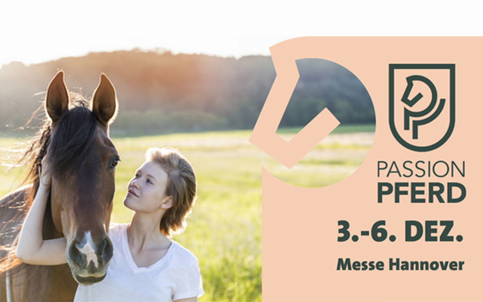 Passion Pferd 1