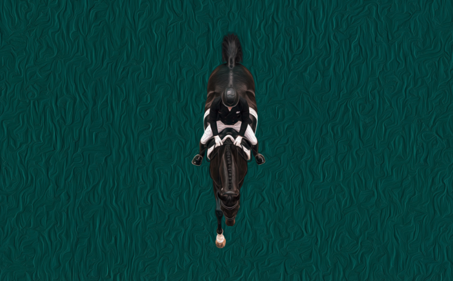 Teaser Banner High Level horse24