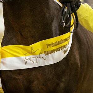 Hengst des Jahres | Grande-Preis | Pferdezucht | Hannoveraner Verband | Foto: Fellner