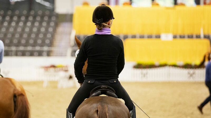 Auktionsaussteller | Verdener Auktion | Hannoveraner Verband | Foto: Fellner