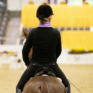 Auktionsaussteller | Verdener Auktion | Hannoveraner Verband | Foto: Fellner