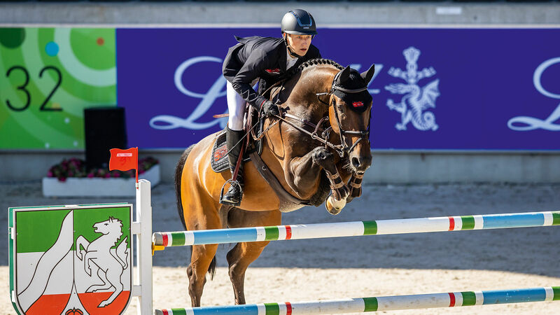 Programm Hannoveraner Springpferdezucht | Hannoveraner Verband | Foto: Lafrentz