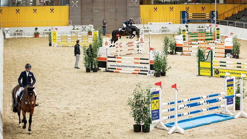 Zuchtprogramme | Pferdezucht | Hannoveraner Verband | Foto: Fellner