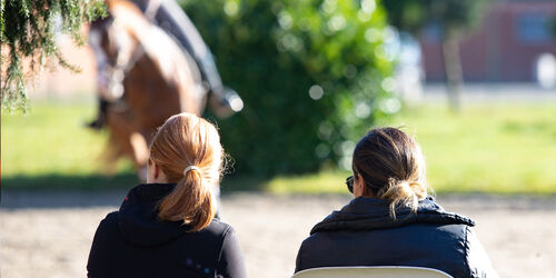 Trainingslehrgänge | Hannoveraner Verband | Foto: Fellner