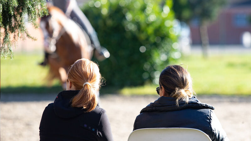 Trainingslehrgänge | Hannoveraner Verband | Foto: Fellner