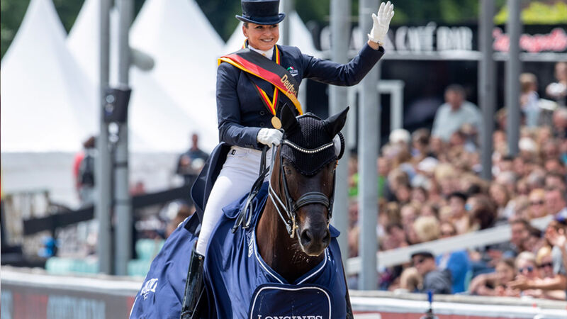 FRH | Sportpferde | Hannoveraner Verband | Foto: Fellner