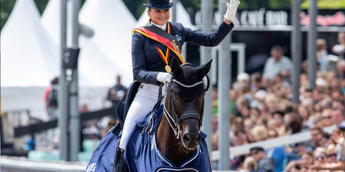 FRH | Sportpferde | Hannoveraner Verband | Foto: Fellner