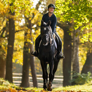 Pferdemarkt | Hannoveraner Verband | Foto: Fellner