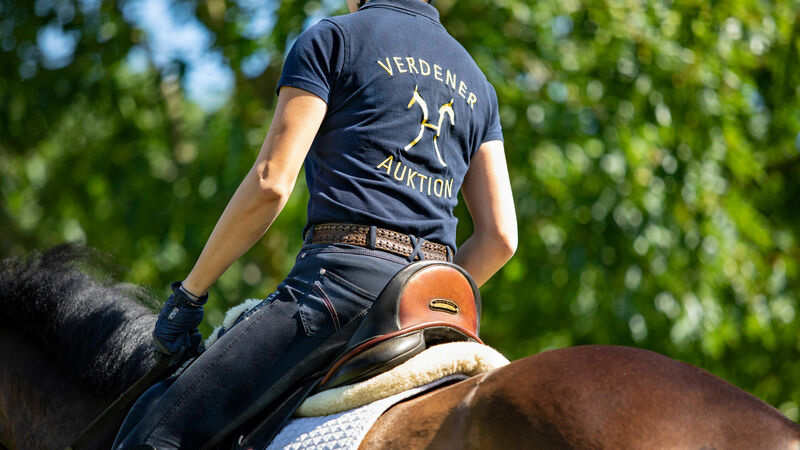 Pferde kaufen und verkaufen | Verdener Auktion | Hannoveraner Verband | Foto: Fellner