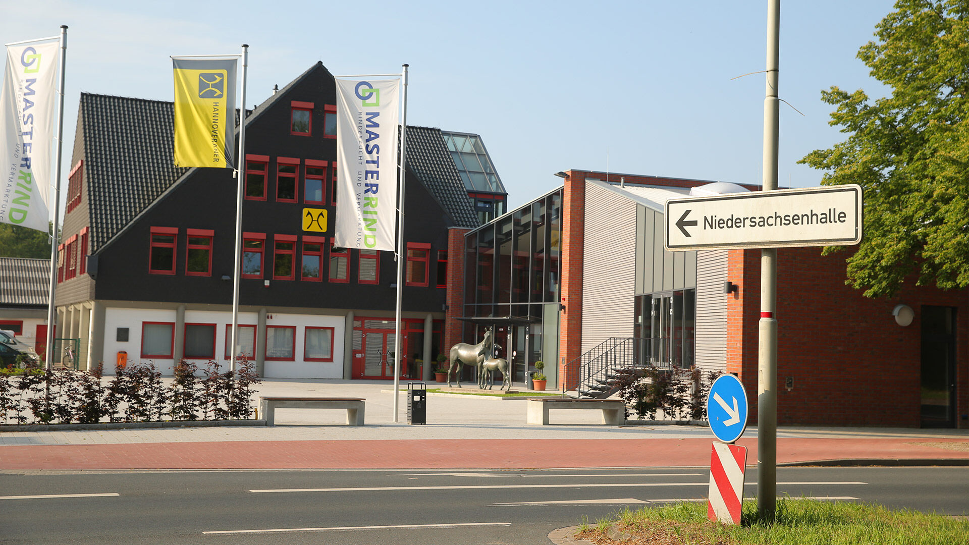 Karriere Hannoveraner Verband